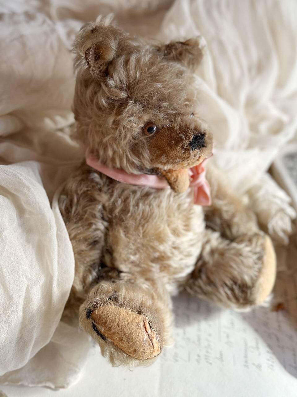 ドール | Brocante de La Cocotte （フランスアンティーク・ドライ