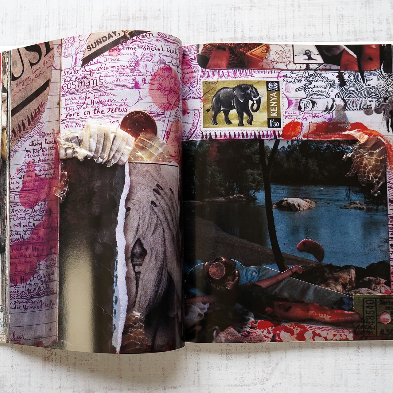 Diary Peter Beard | タイムカプセル