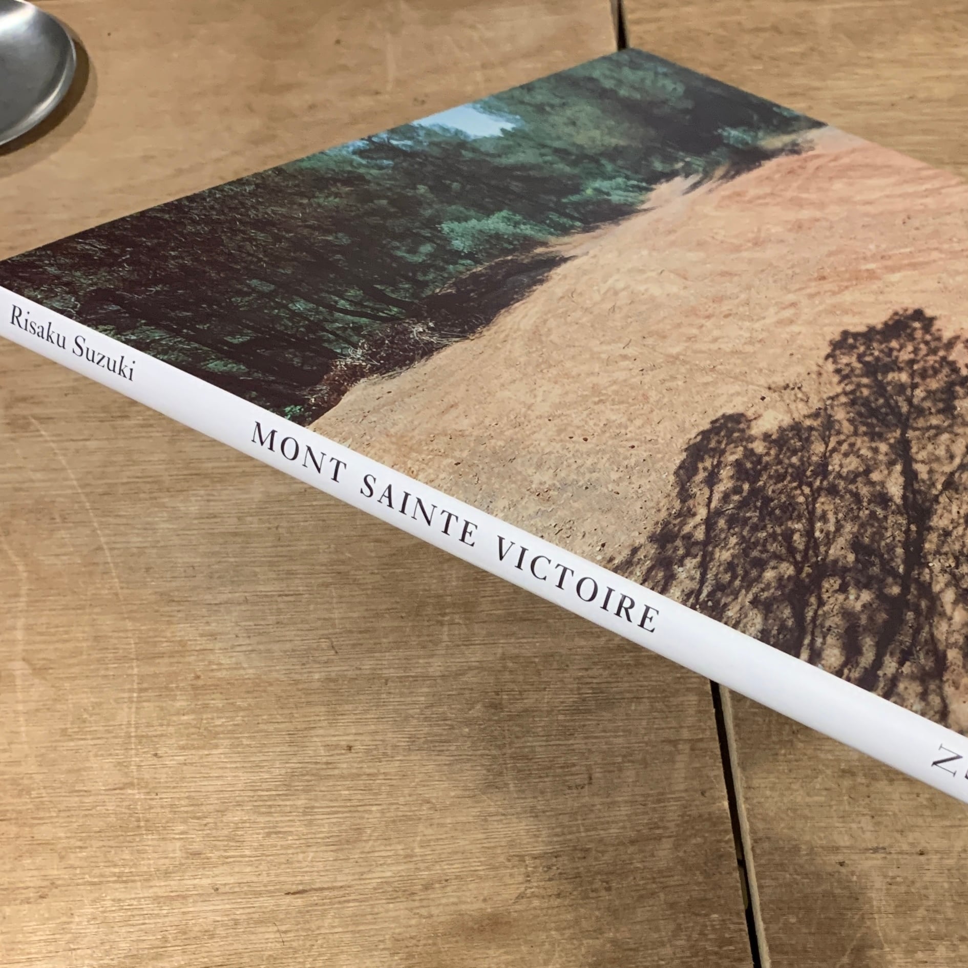 Mont Sainte Victoire Risaku Suzuki / 鈴木理策 | 百年