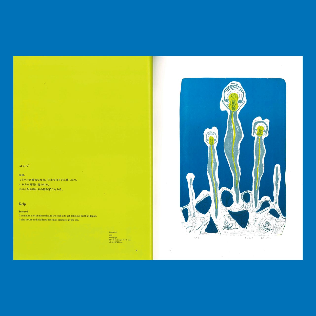 KATO IZUMI：From the Sea | ON SUNDAYS