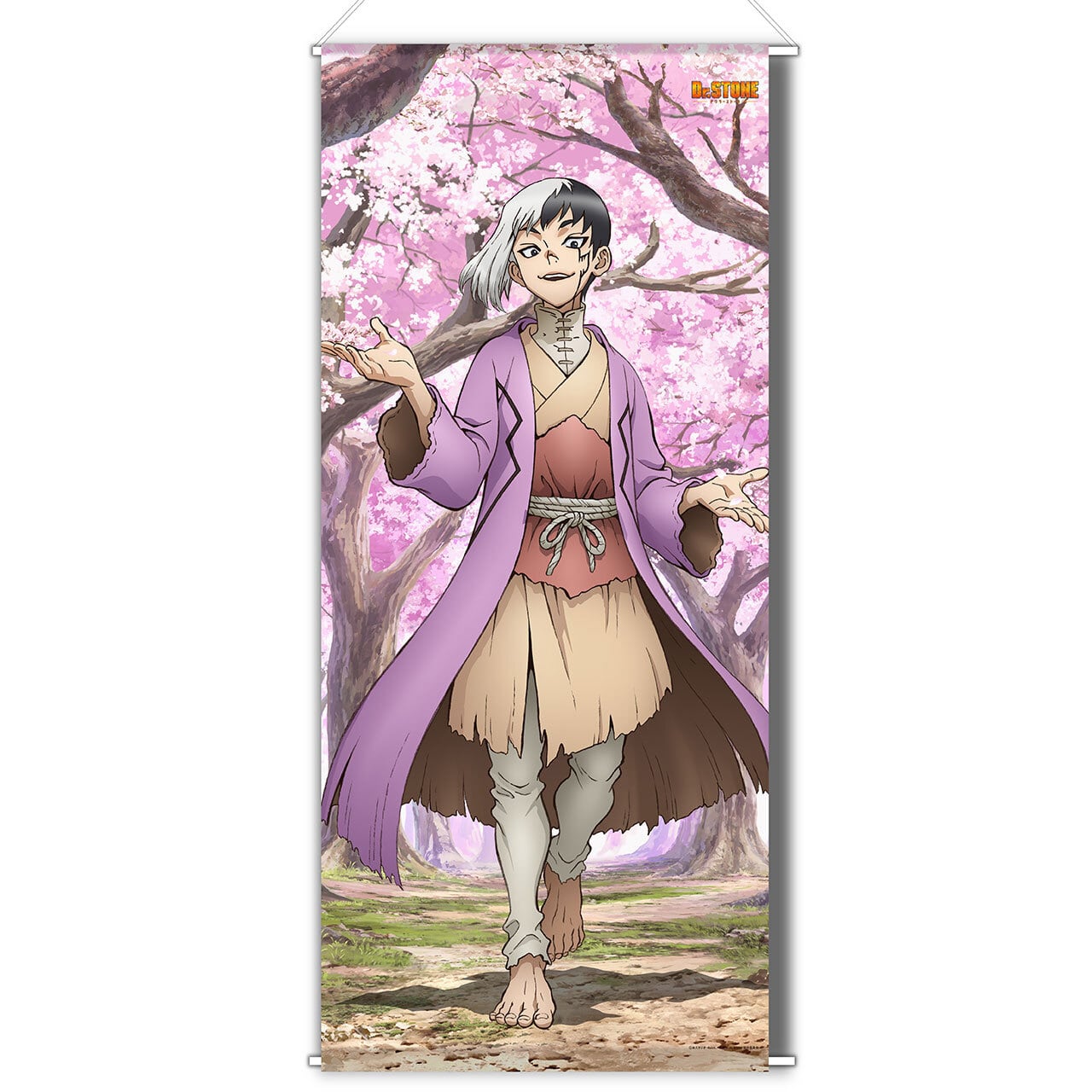 4570077741527受注生産】Dr.STONE 【描き下ろし】BIGタペストリー