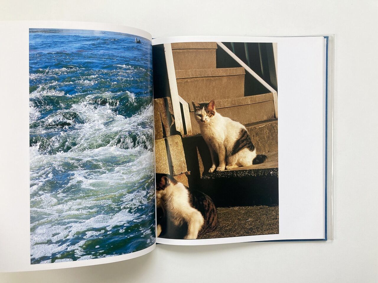 中平卓馬 Takuma Nakahira | Hysteric Six | 翠ブックス | suibooks