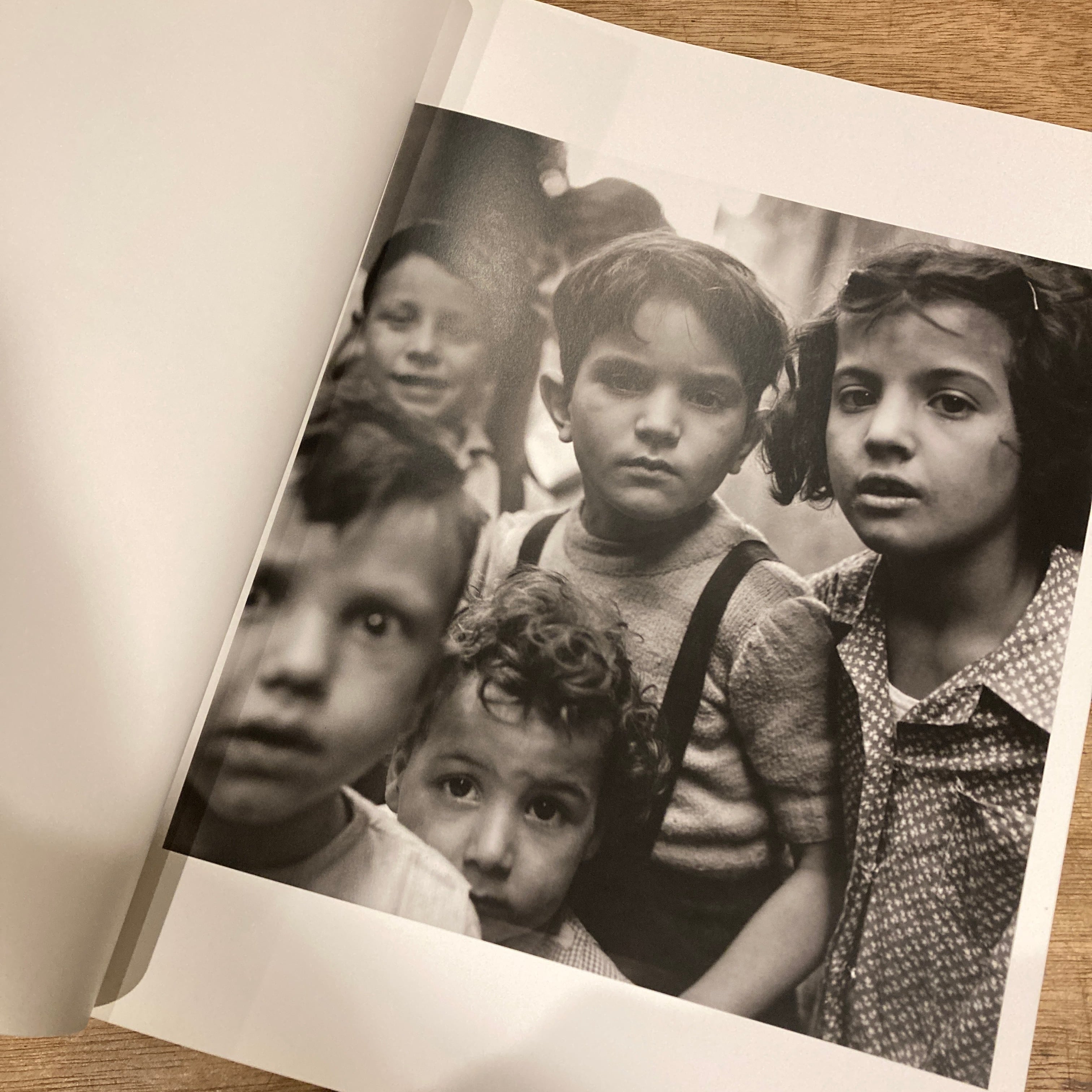 Elliott Erwitt: Personal Best / エリオット・アーウィット | 百年