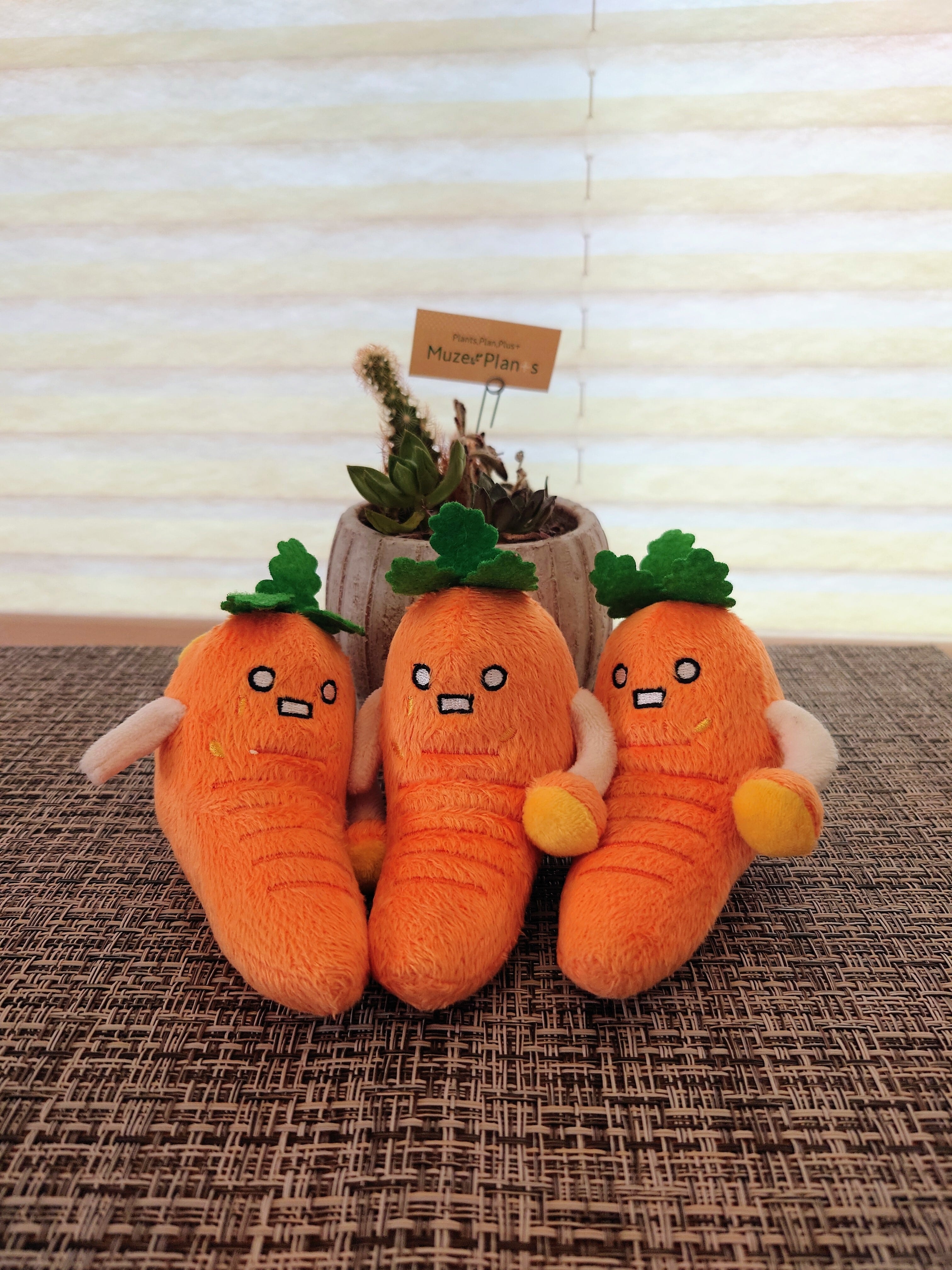 b2ac03e934737a3f8373ca36618d70