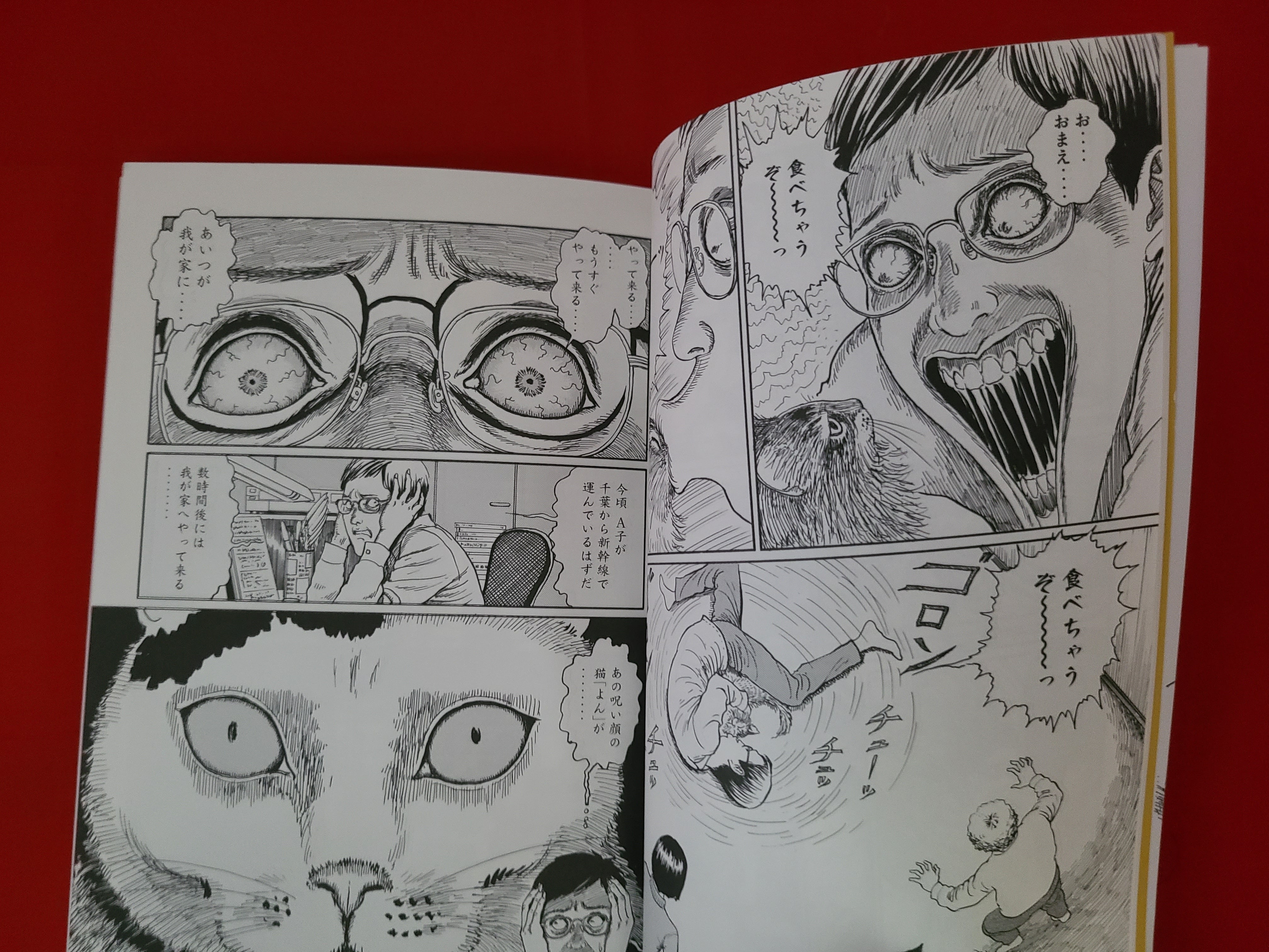 おすすめ漫画！伊藤潤二の猫日記 よん＆むー | 冒険浪漫堂