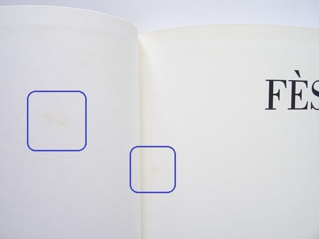 洋書◇フェズ写真集 芸術と知識の街 本 フェス イスラム 建物 風景