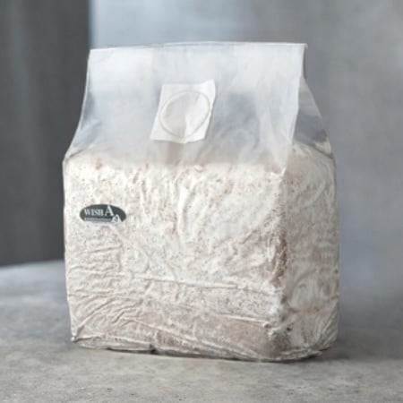 コバエシャッター 大 | KPW公式オンラインショップ