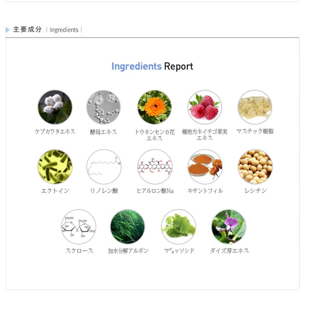 Rene-Cell】ルネセル ギミナス ホワイトプログラム ブライトナー 20g