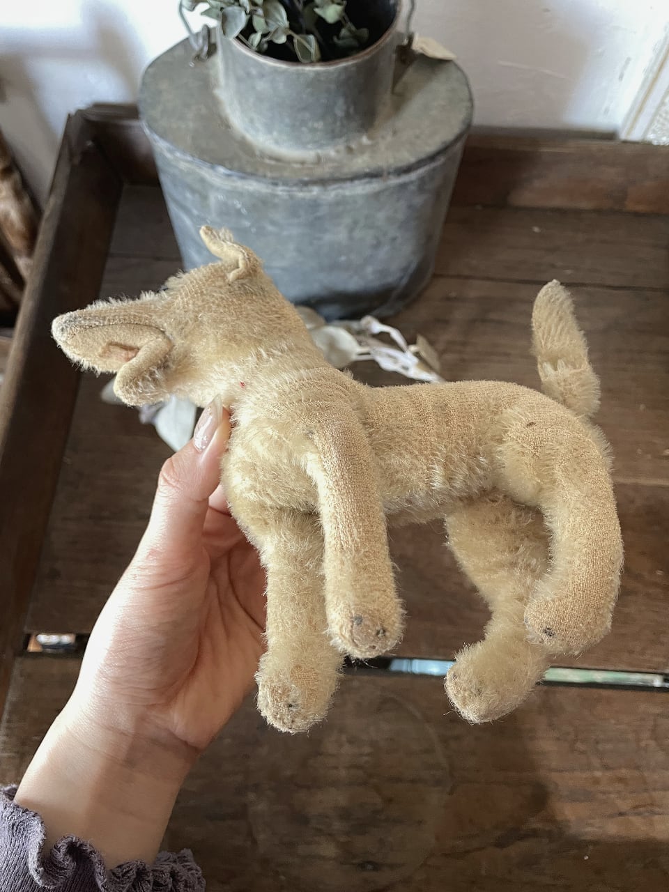 フランスアンティーク 犬 ぬいぐるみ ベージュ dog | Brocante de La