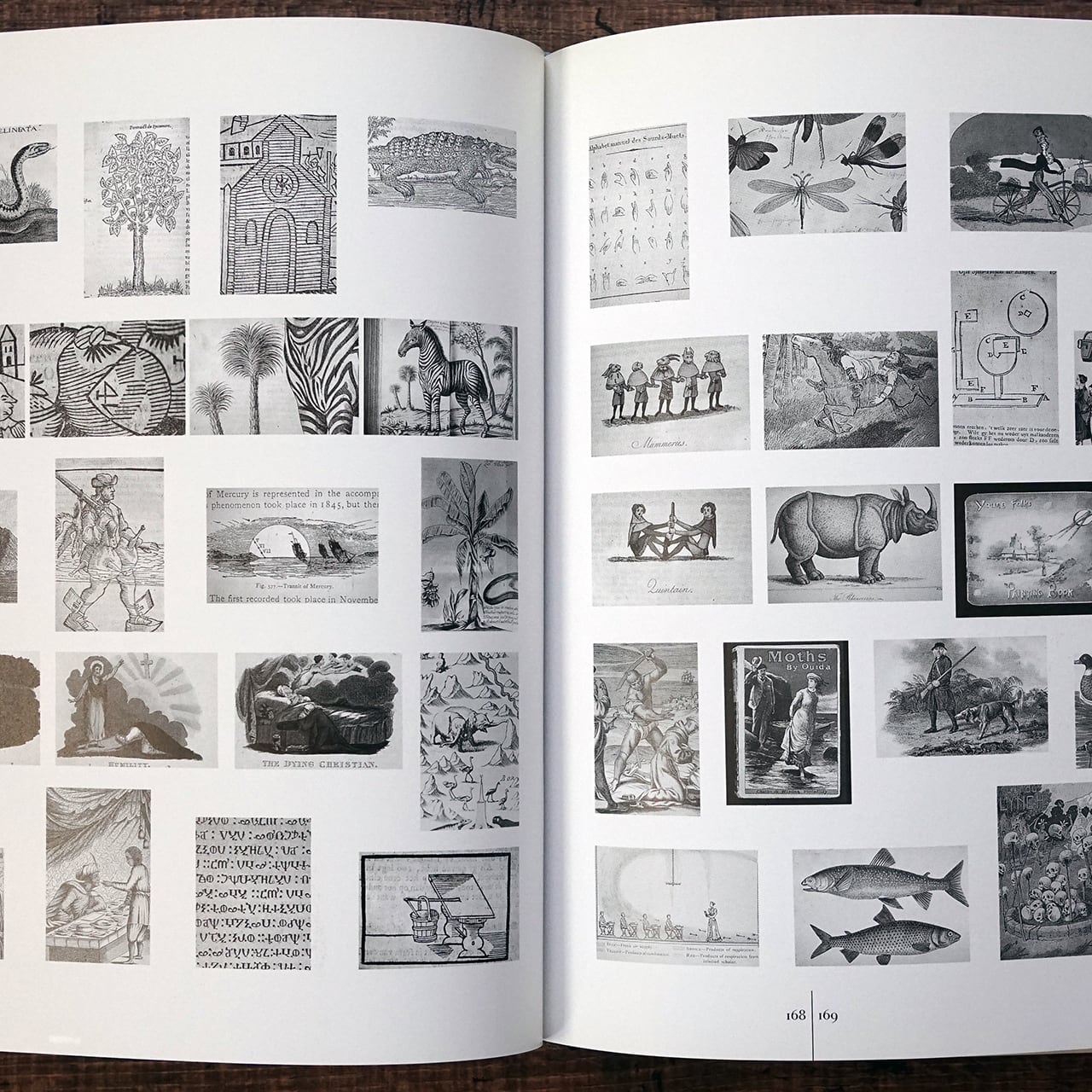 Marcel Broodthaers(マルセル・ブロータス) Walker Art Center