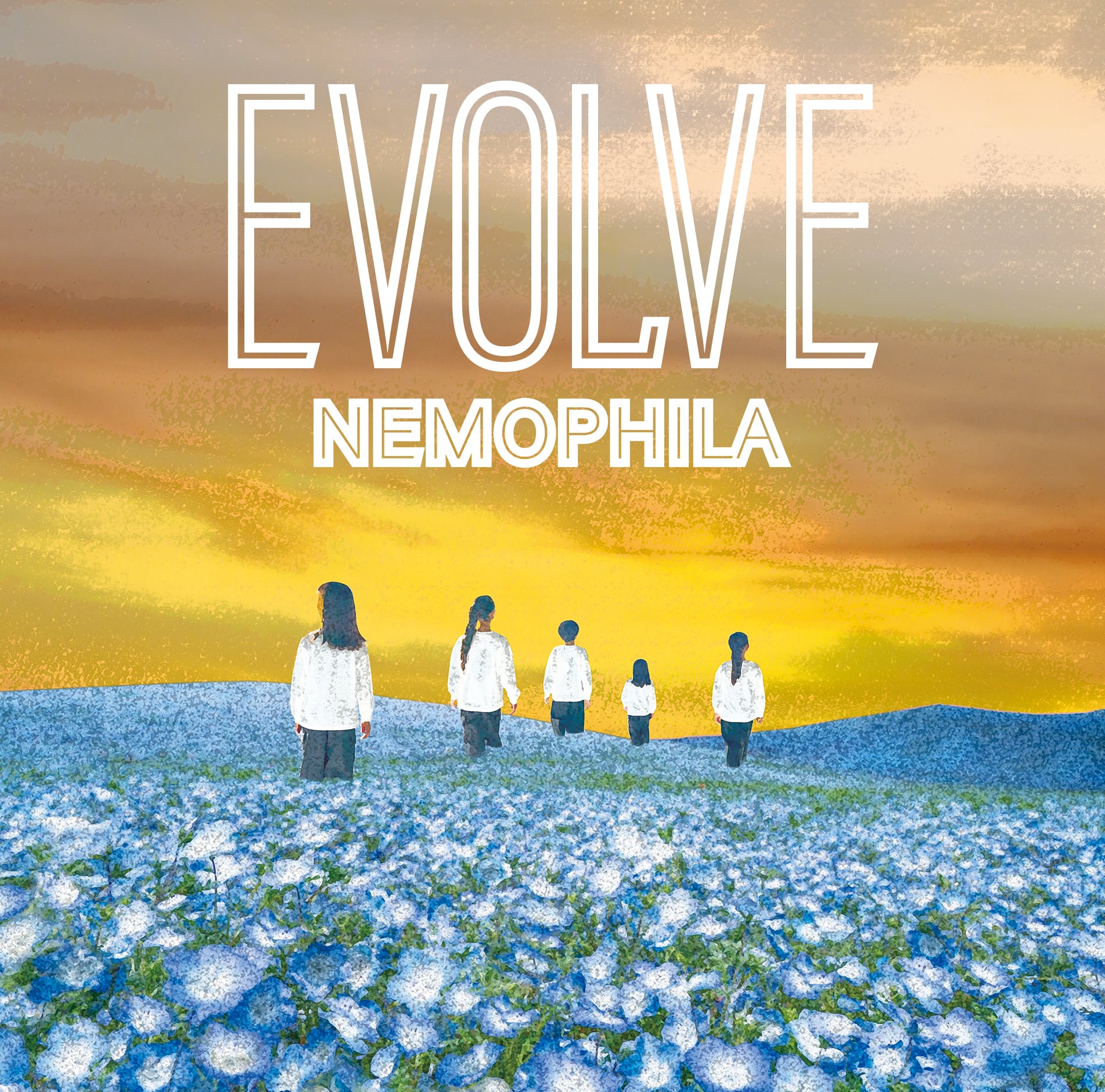 CD/DVD | NEMOPHILA SHOP