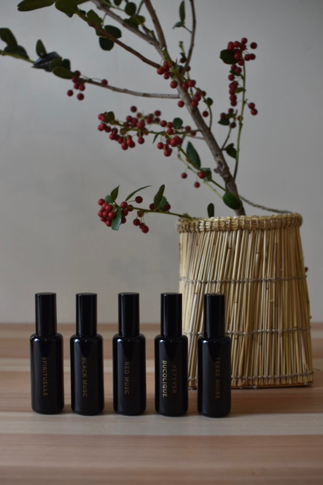 e834a255264cea85d4ab23119fc99e