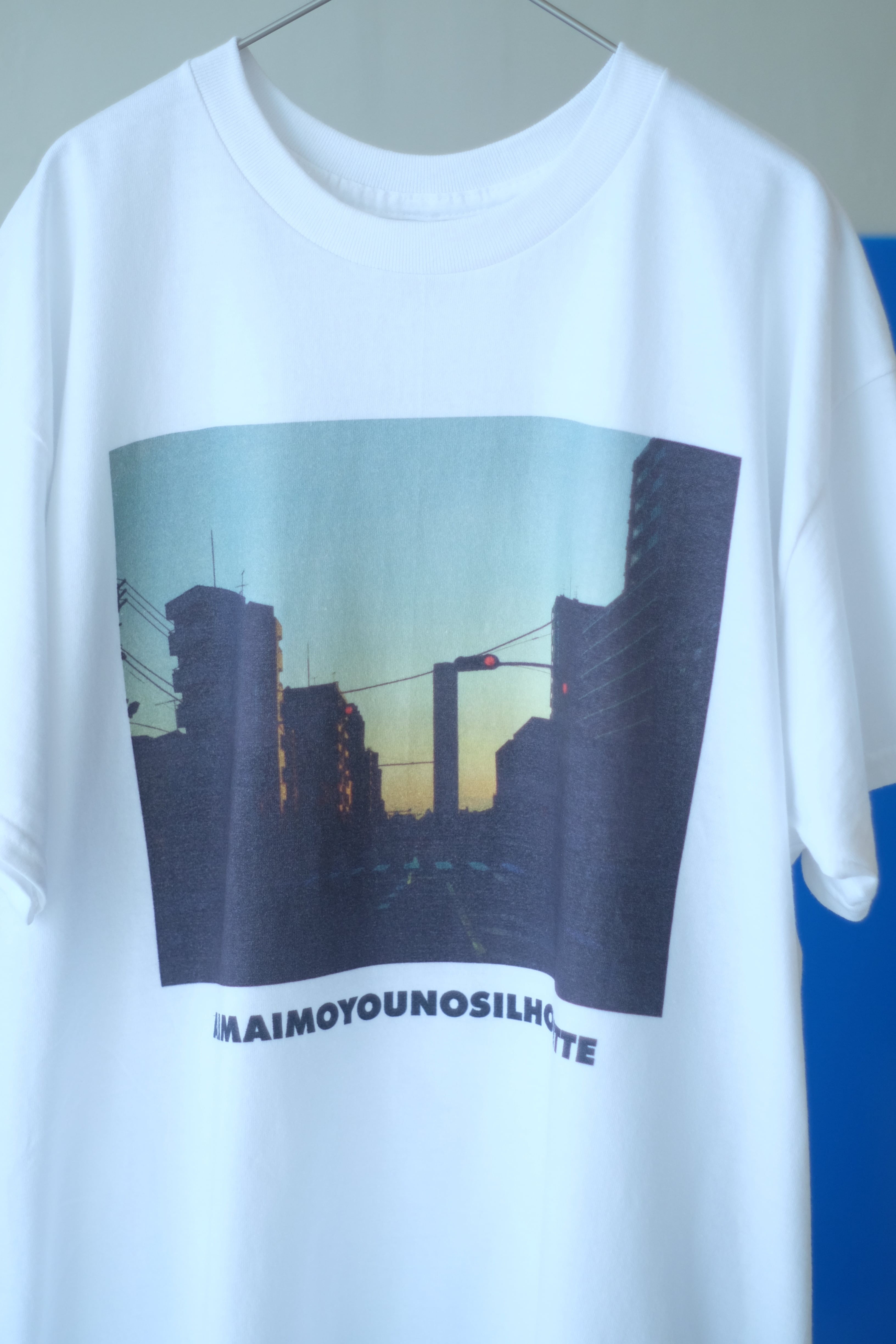 GASATANG × ZAZEN BOYS / AIMAIMOYOUNOSILUOUETTE | Skool