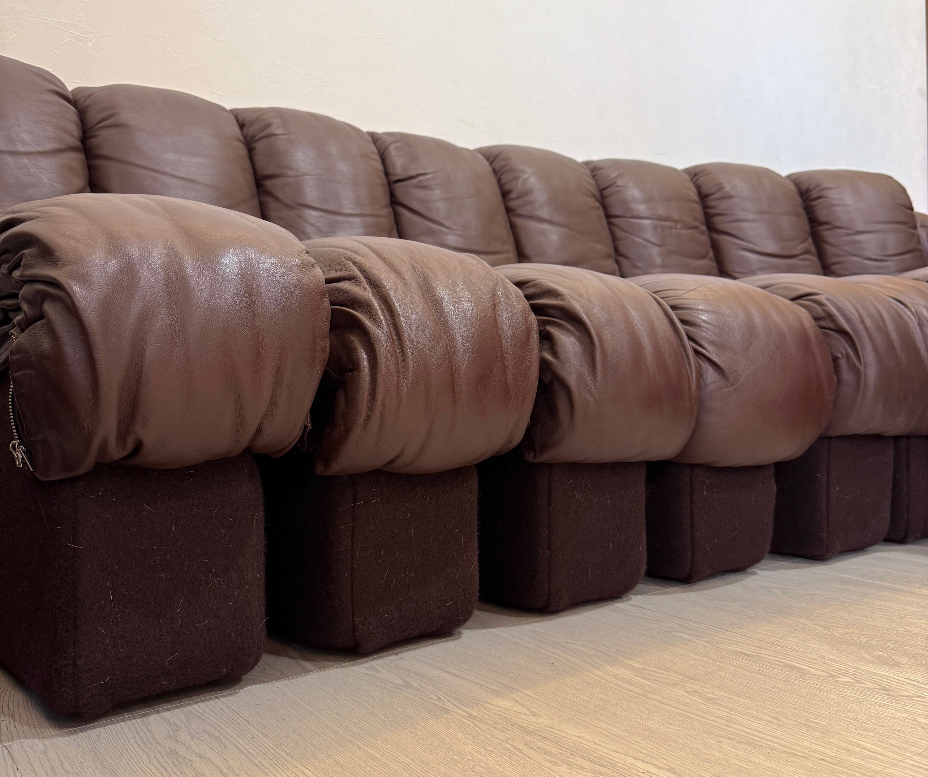 de Sede デセデ スネークソファ DS-600 20連 本革レザー アーム付き