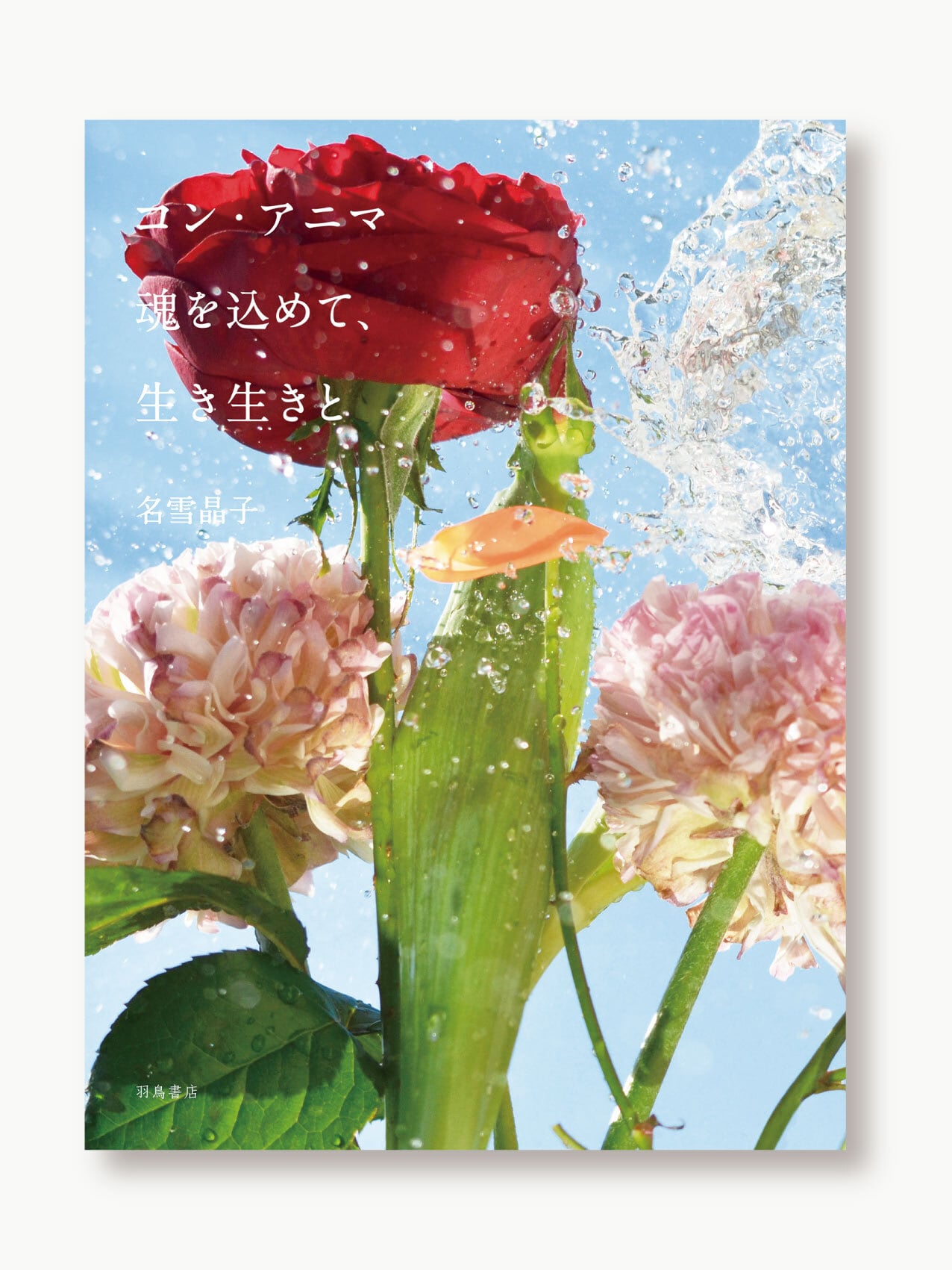 上田義彦『旅情』 | 羽鳥書店 Hatori Press