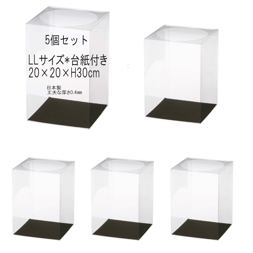 c0020d_10 日本製【クリアボックス LLサイズ台紙付き10個】20cm×20cm