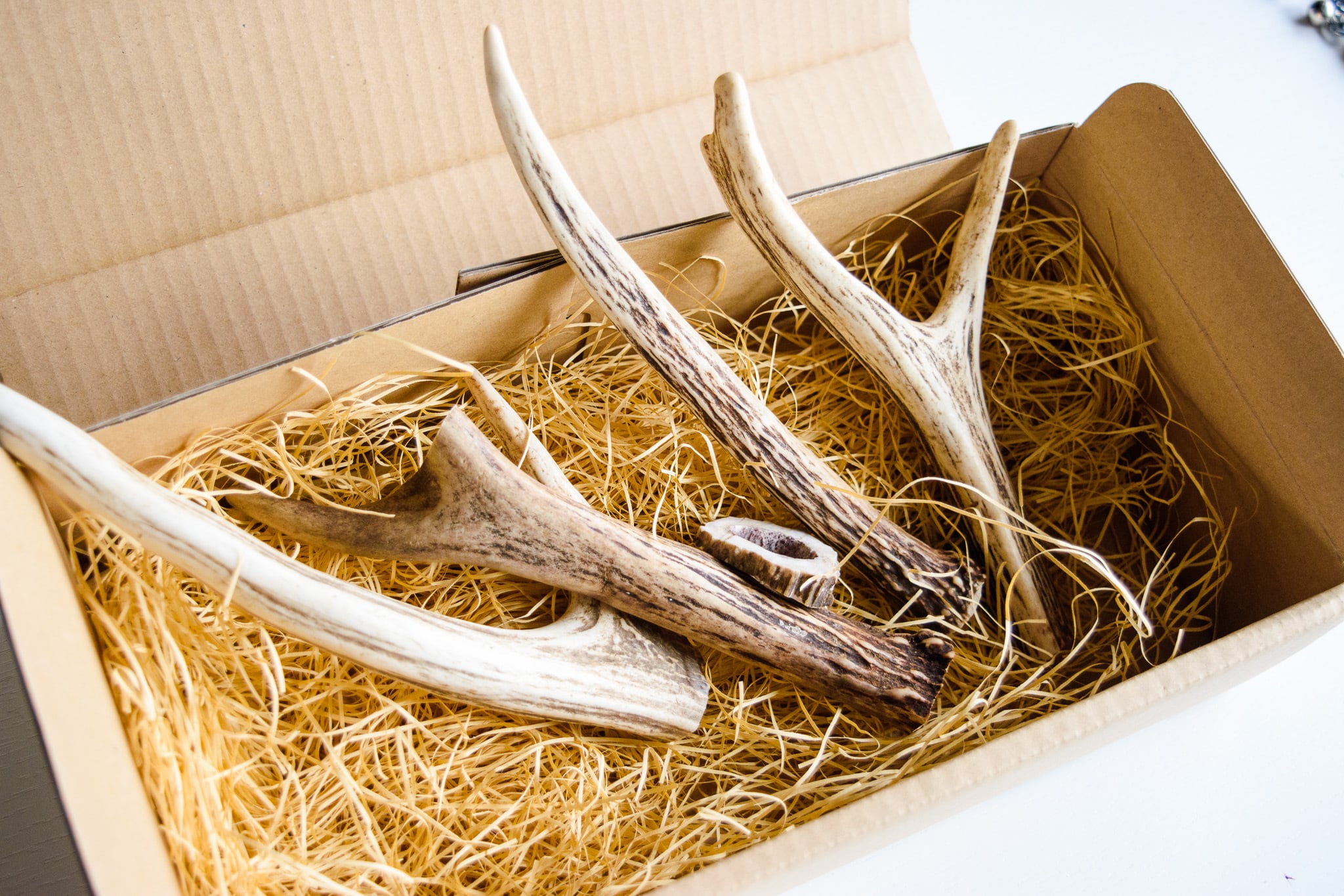 エゾシカ角 4本セット（約15～20cm） | シカ工房 伊藤産業