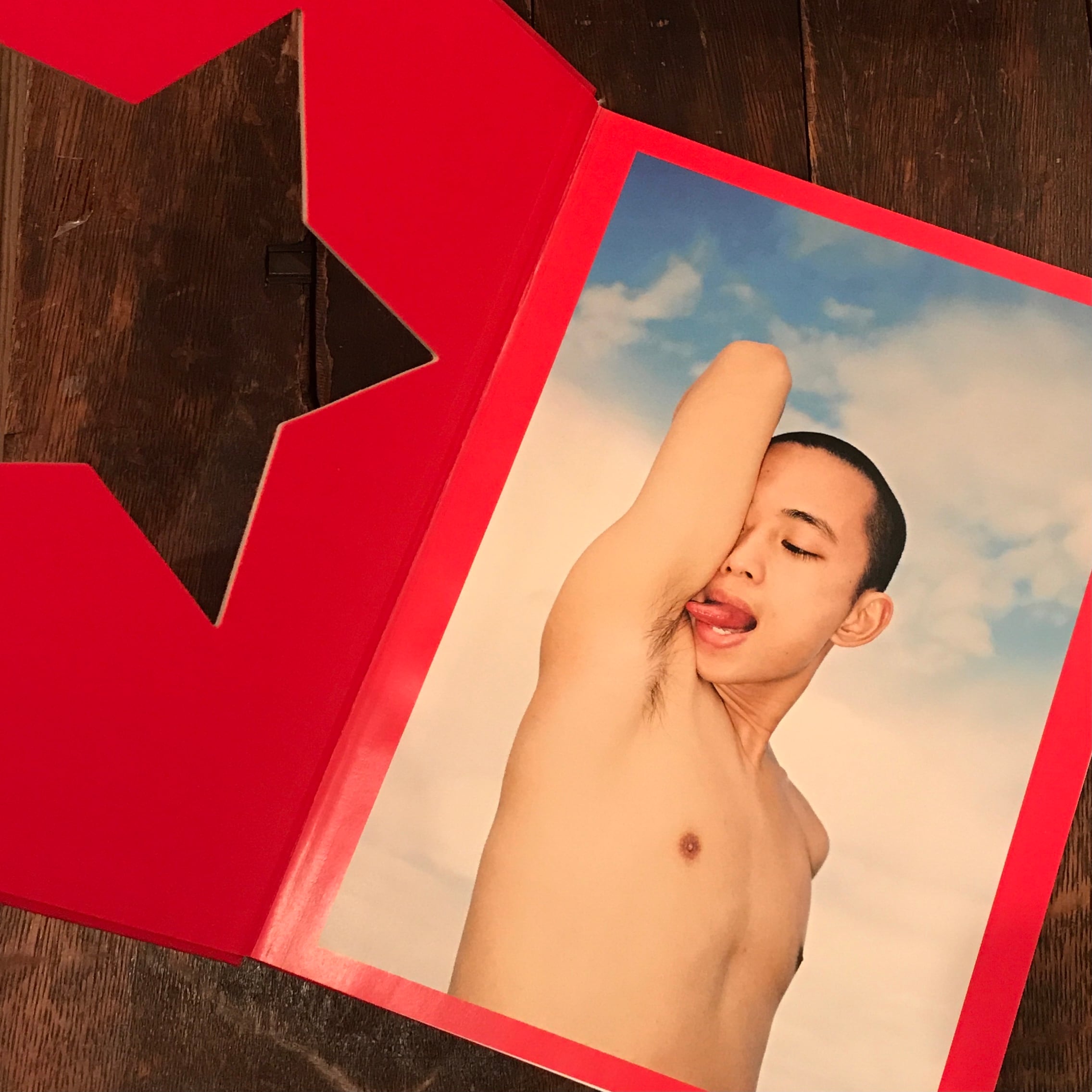 REN HANG: Dian Hanson ( 任航 / レン・ハン ) [TASCHEN] | 百年