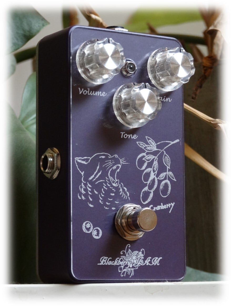 Blue Mallow | Blackberry JAM