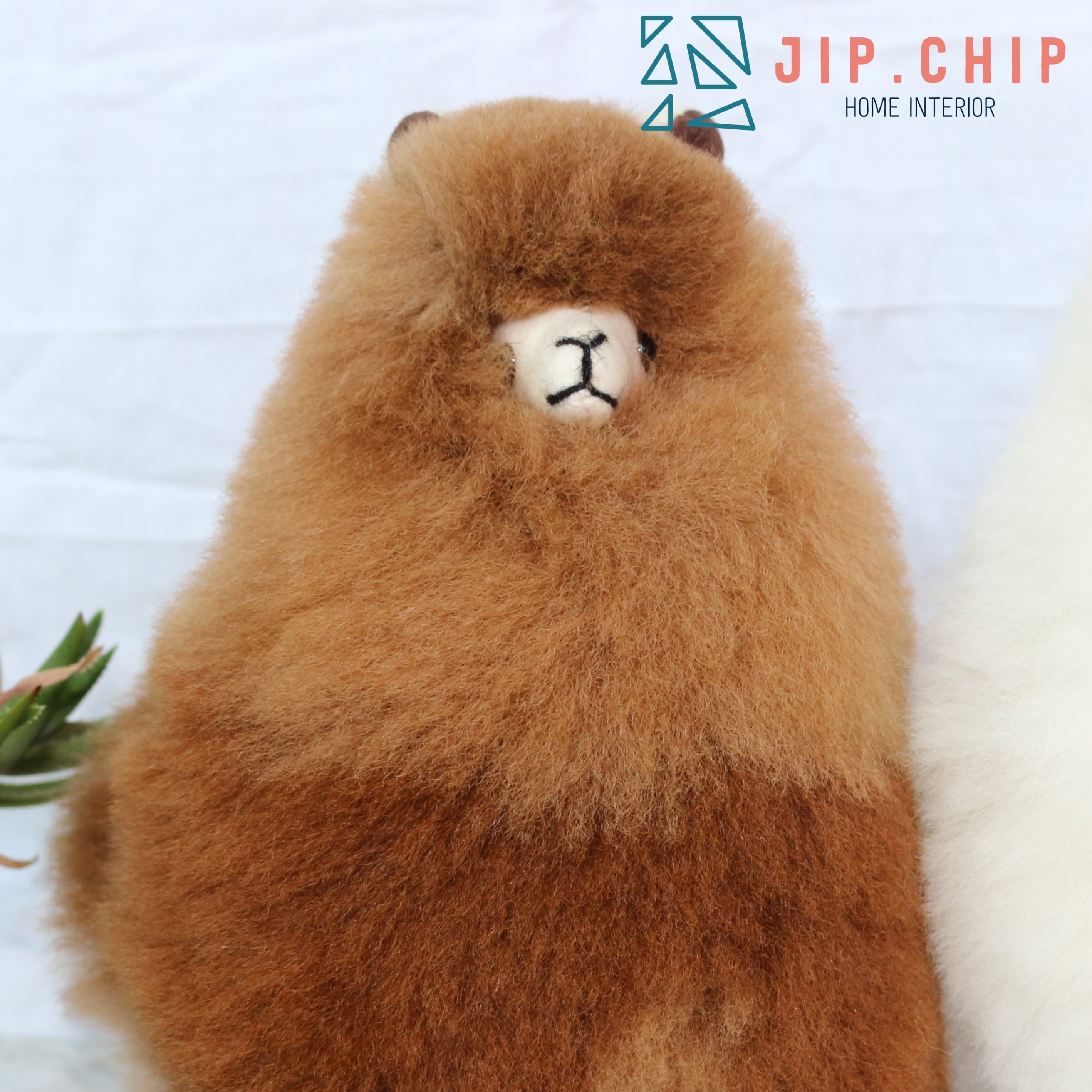 fdbca161b6cf9731bc55c9cabe4b5a