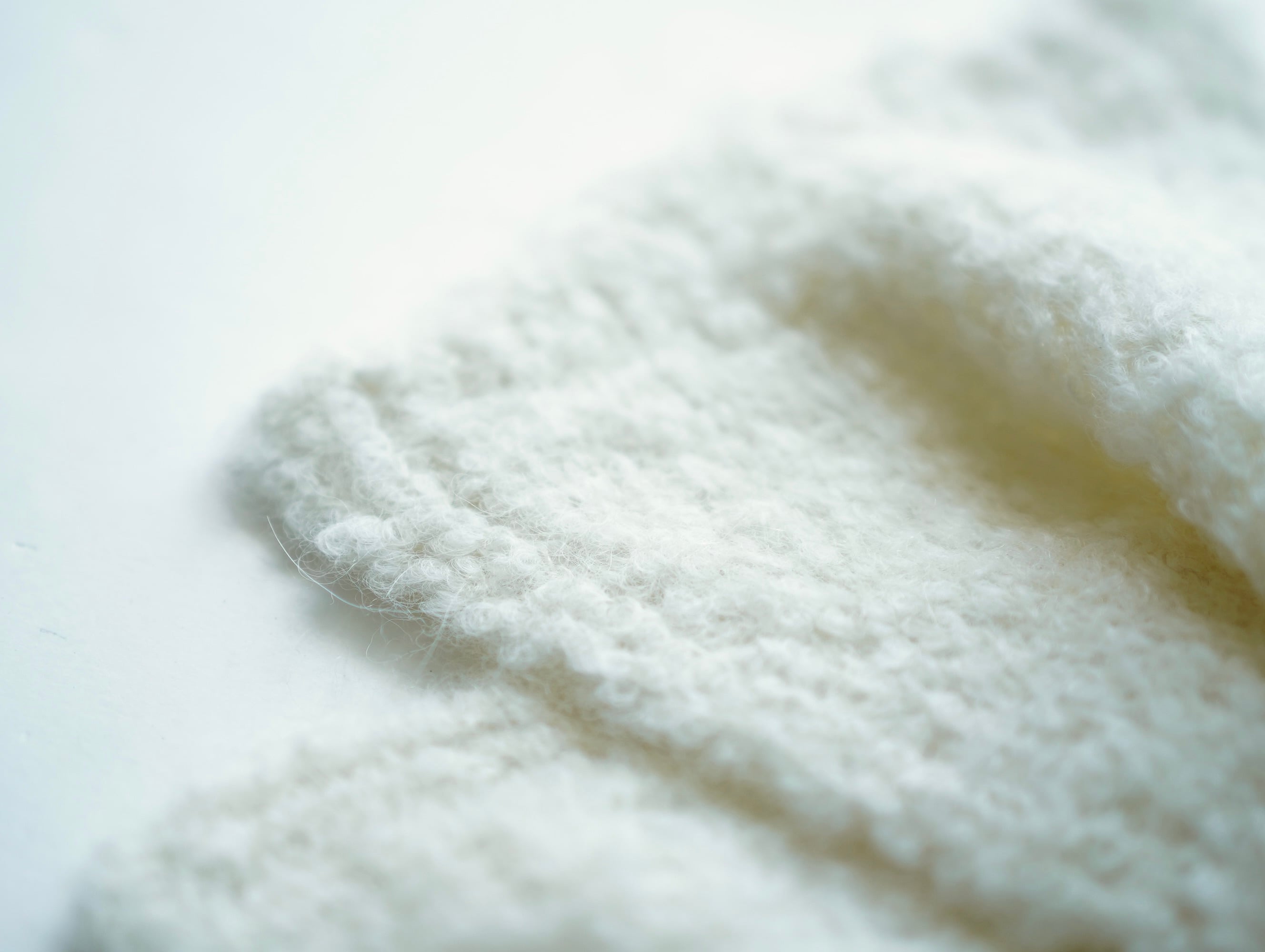 mina perhonen 24AW 〉 muschio 