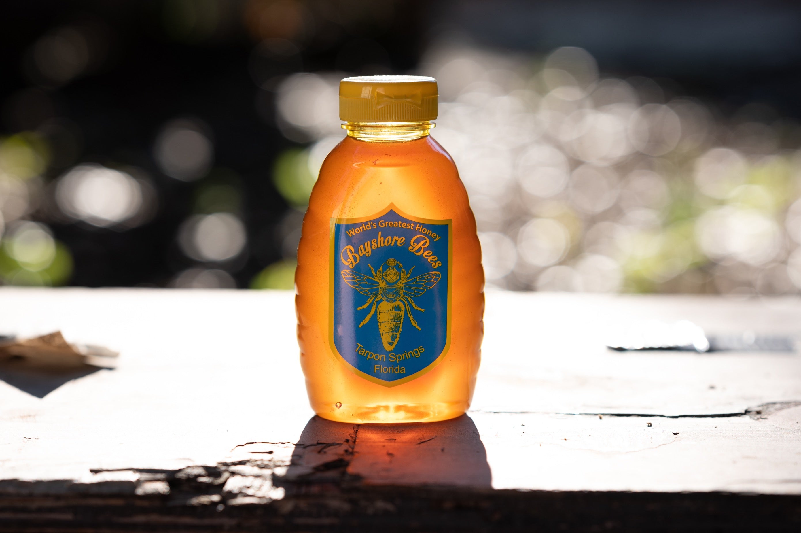 1 Pound Bayshore Bees Local Raw Tarpon Springs Honey