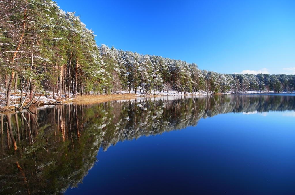 A16＋レンズフードLH－2併用で使えるPLフィルター？』 リコー GXR+A16