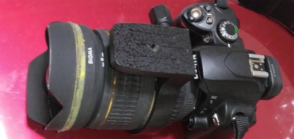 ニコン D40 レンズキット投稿画像・動画 - 価格.com