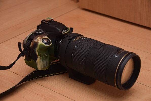 ニコン D5300 18-55 VR IIレンズキット [レッド]で撮影された写真