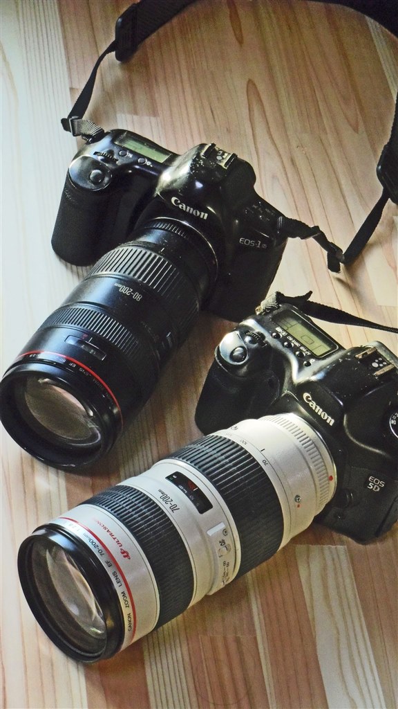 EOS-1N HSってどうでしょう？』 クチコミ掲示板 - 価格.com