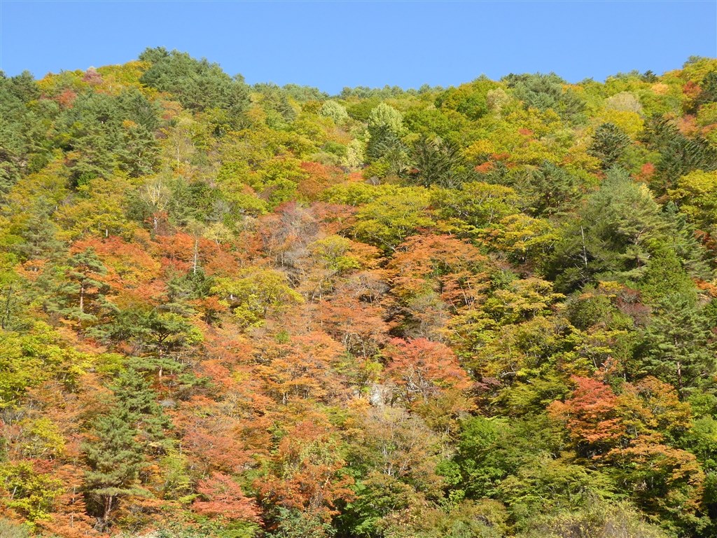 TZ60の作例です（2）』 パナソニック LUMIX DMC-TZ60 のクチコミ