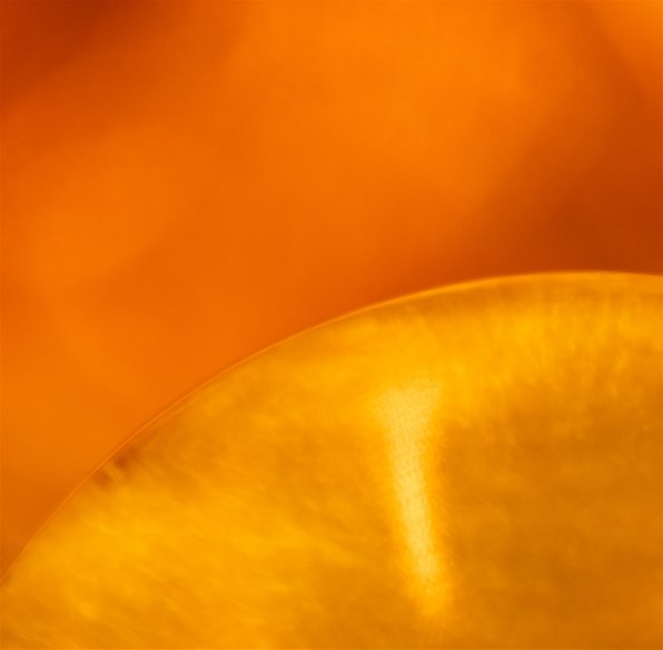 CANON MP-E65mm F2.8 1-5x マクロフォトで撮影された写真 - 価格.com