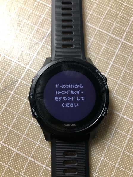 ガーミン ForeAthlete935 価格比較 - 価格.com