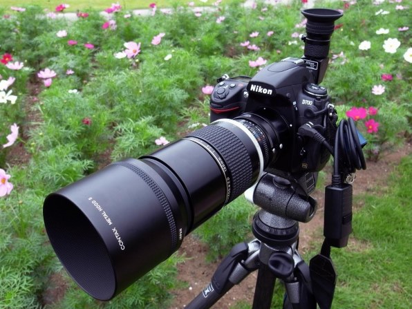 ニコン AI Nikkor ED 180mm F2.8S投稿画像・動画 - 価格.com