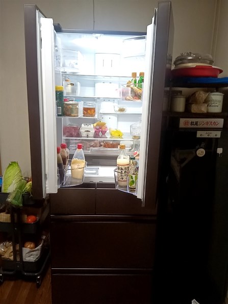 三菱電機 中だけひろびろ大容量 MZシリーズ MR-MZ60H-XT [フロスト