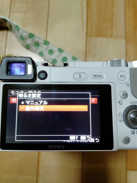 SONY α6100 ILCE-6100Y ダブルズームレンズキット投稿画像・動画