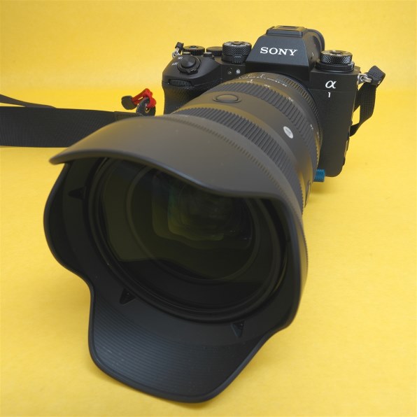 SONY FE 24mm F1.4 GM SEL24F14GMで撮影された写真 - 価格.com