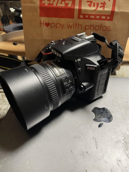 ニコン D5600 ダブルズームキット投稿画像・動画 - 価格.com