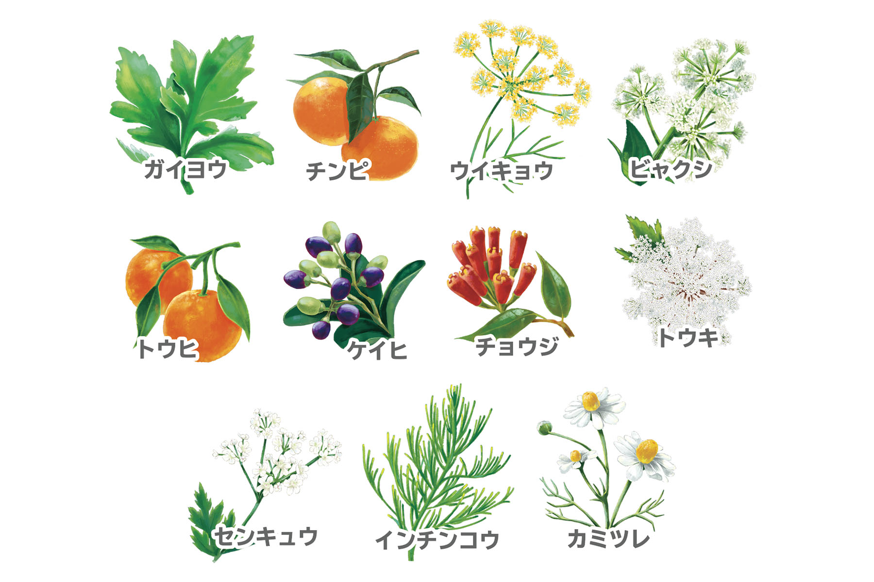 Luluonnについて | BEAUON INC.