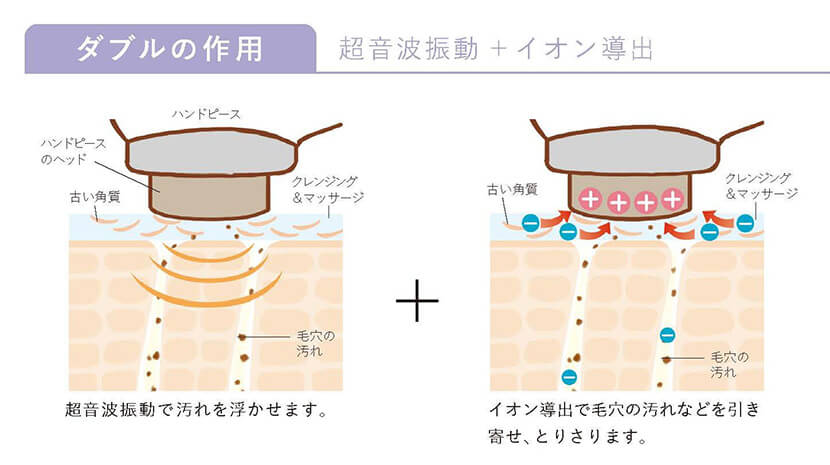 サキナ Corebelle｜フヨウサキナ