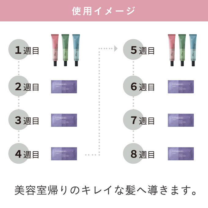 ESTABLISHED エスタブリッシュ 3ステップシステムトリートメント