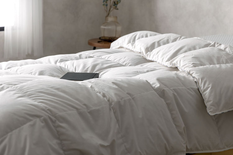 まるっとレビュー】エマスリープのまくら・プロテクター・羽毛掛け布団