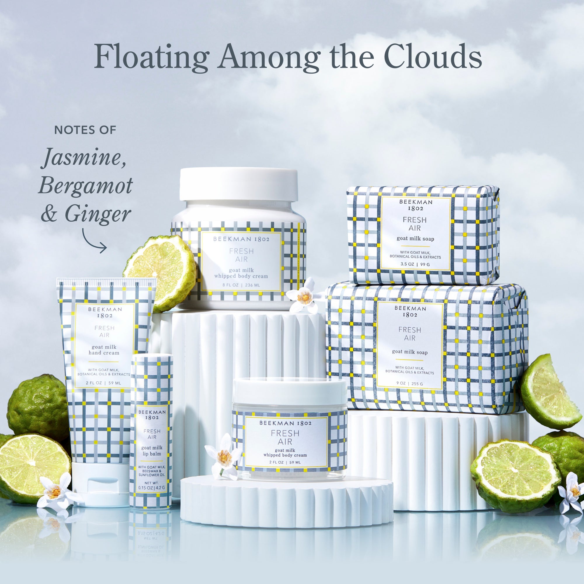 Fresh Air Hand & Body Wash