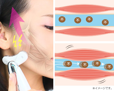 New美ルル リバース＜belulu Rebirth＞製品情報 | EMS美顔器