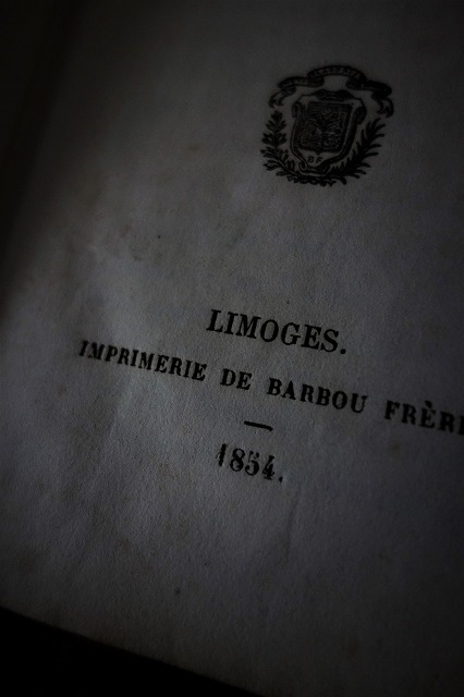 西洋アンティーク フランス 19世紀 美しい表紙の文学本 ／古書 古本