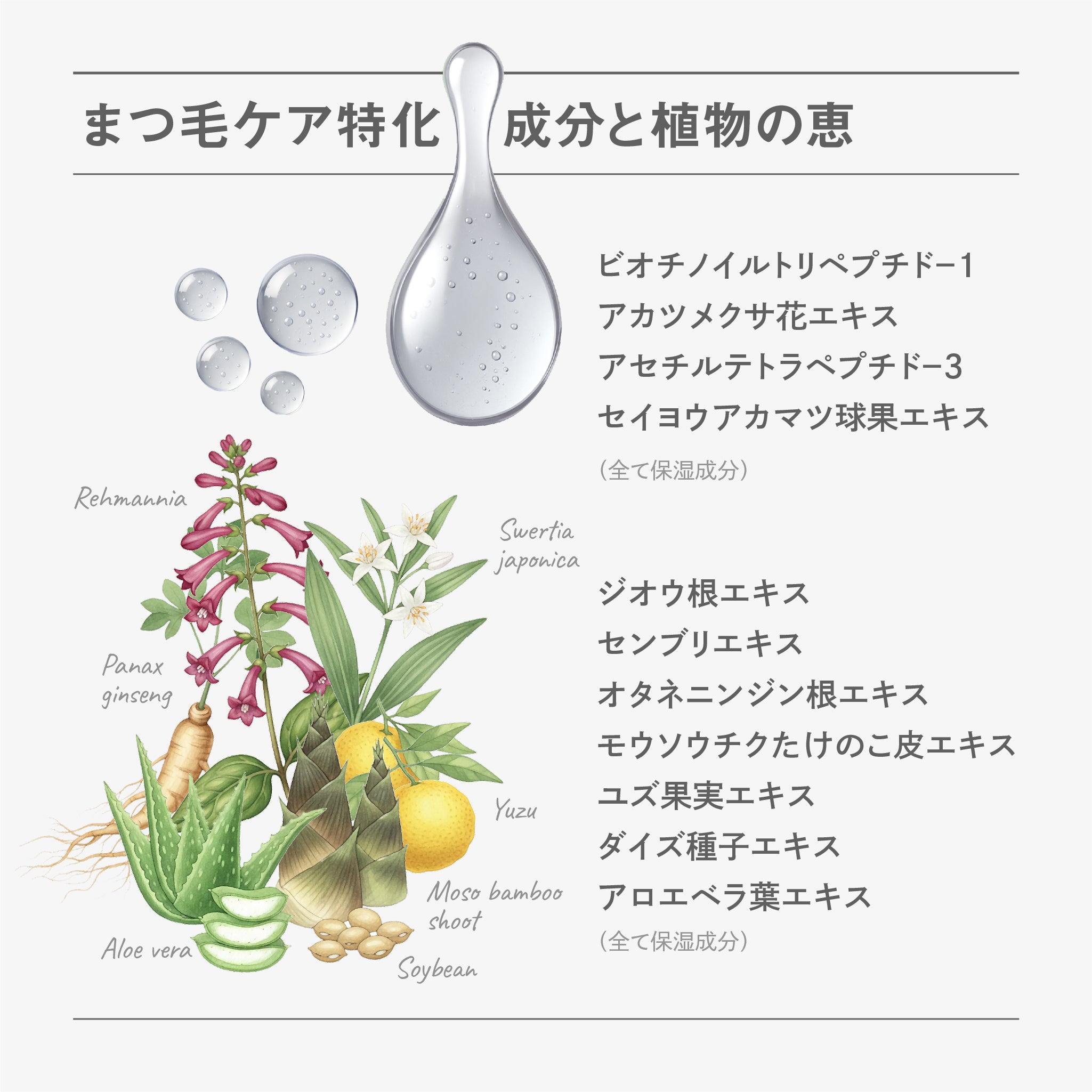 BF アイラッシュセラム｜better future® – 【公式】better future