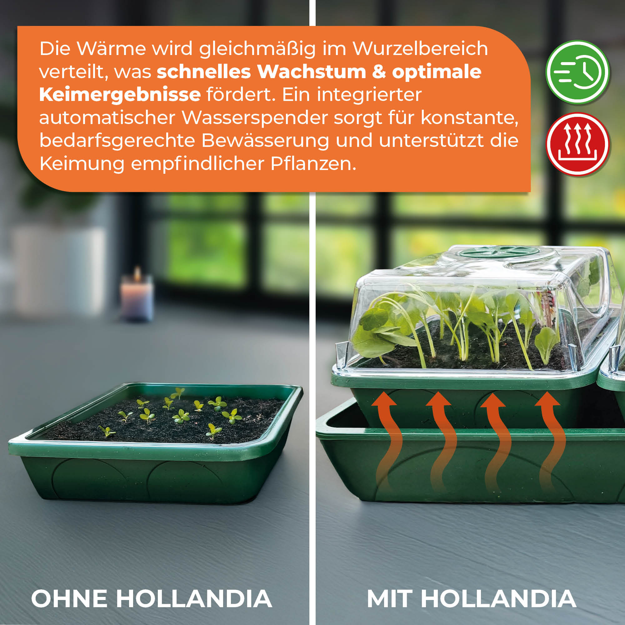 Beheizter Anzuchtkasten 