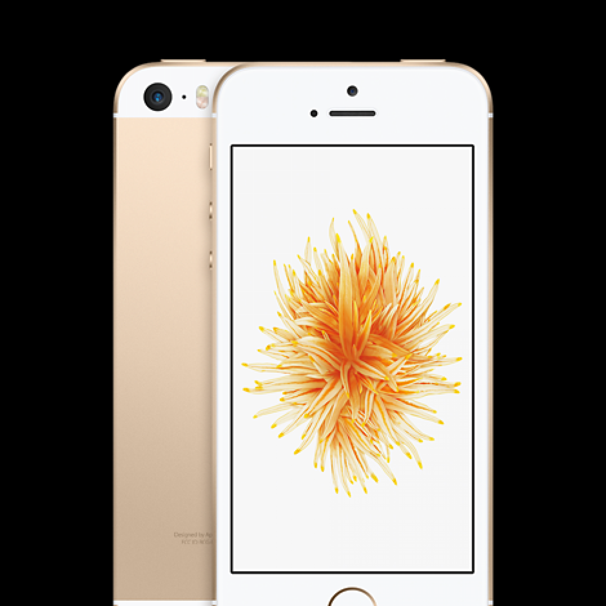 iPhone se Gold 64 GB SIMフリー Apple iPhone SE ゴールド 64GB SiM