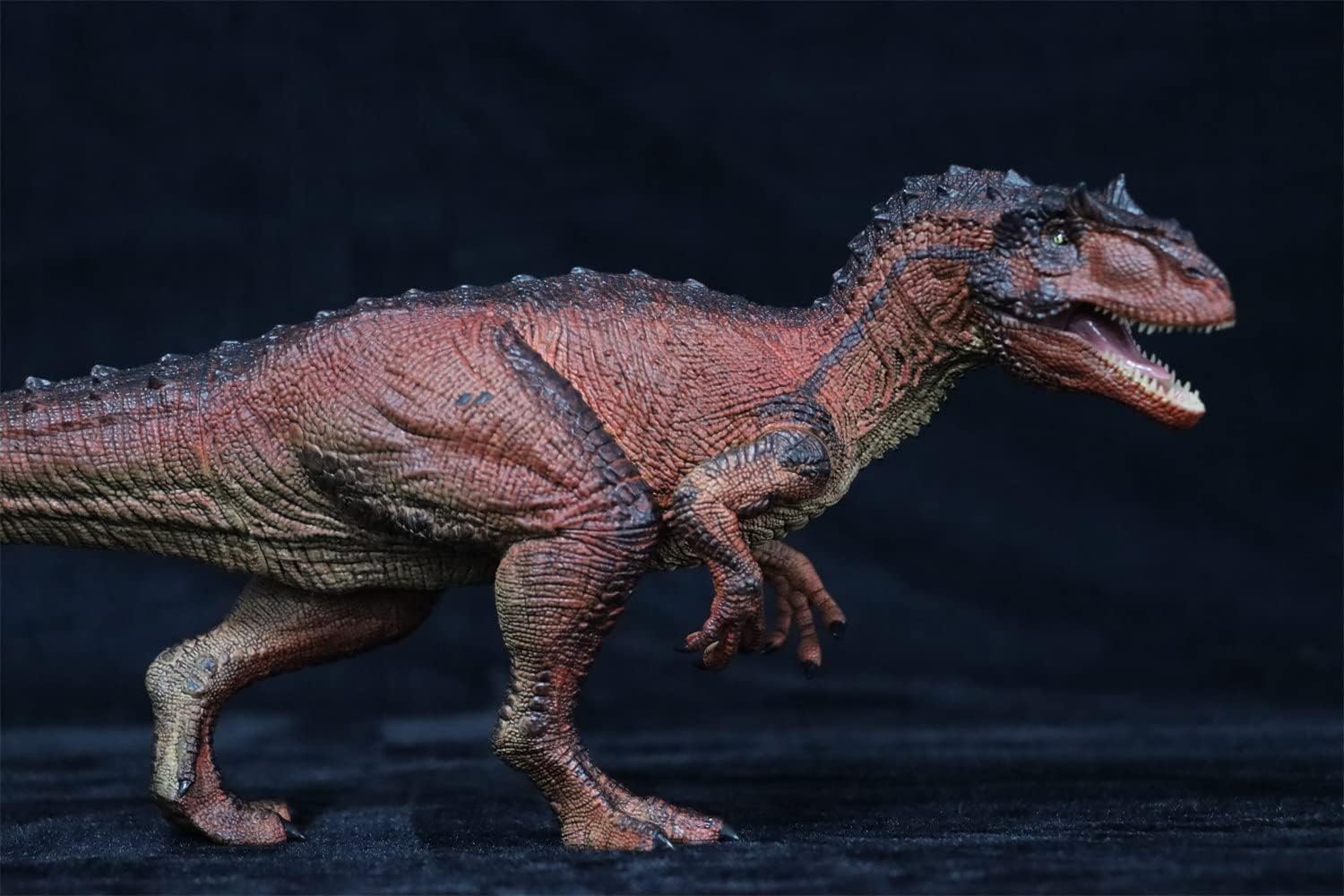 REBOR 1/35サイズ サウロファガナクス 異竜 肉食獣脚類 アロサウルス科