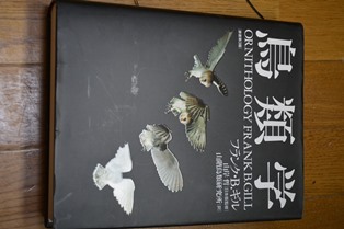ぼうぼう工房 鳥類学